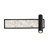 Настенный светильник Favourite Primum 4859-1W