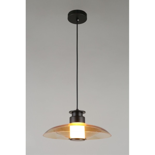 Светильник подвесной APL.648.16.10 фото 2