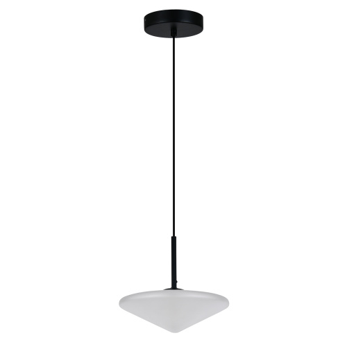 Подвесной светильник 11068/1P Black фото 2 Подвесной светильник 11068/1P Black фото 2