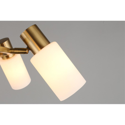 Люстра подвесная OML-69103-06 фото 2 Люстра подвесная OML-69103-06 фото 2