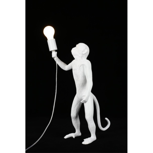 Настольная лампа APL.309.04.01 фото 14 Настольная лампа APL.309.04.01 фото 14