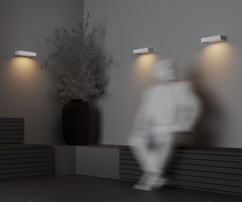 Уличный настенный светильник Outdoor O428WL-L10W3K фото 13