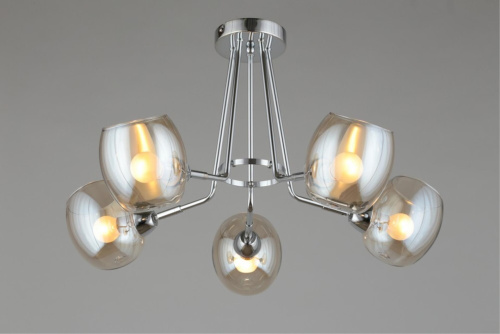 Люстра потолочная OML-27307-05 фото 7