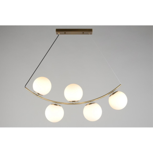 Люстра подвесная OML-94903-05 фото 9