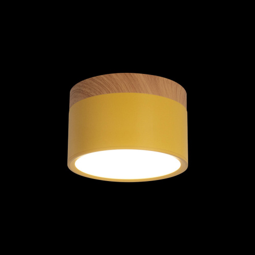 10162 Yellow Накладной светильник LOFT IT Grape фото 2