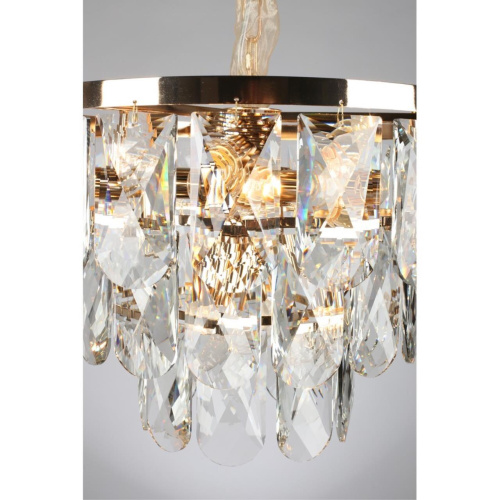 Люстра подвесная OML-72913-09 фото 7