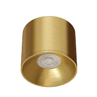 Точечный накладной светильник Arte Lamp PELL A9603PL-1SG
