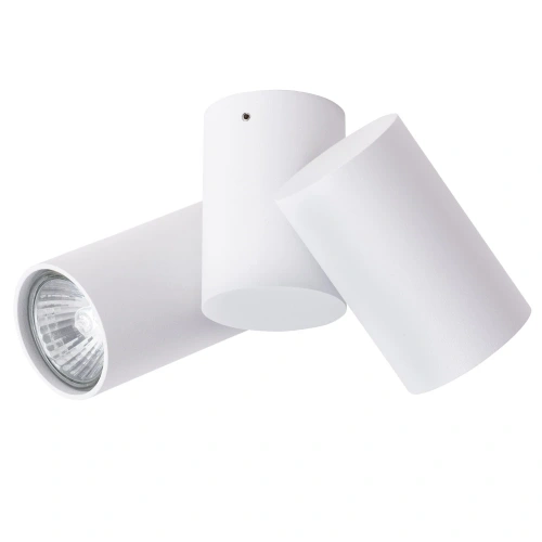Спот Arte Lamp GAVROCHE A1511PL-2WH фото 3