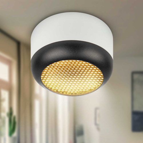 Настенно-потолочный светильник ЭРА OL56 WH/BK Б0061881 фото 9 Настенно-потолочный светильник ЭРА OL56 WH/BK Б0061881 фото 9