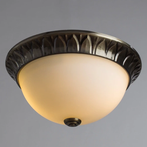 Потолочный светильник Arte Lamp PORCH A7838PL-2AB фото 2