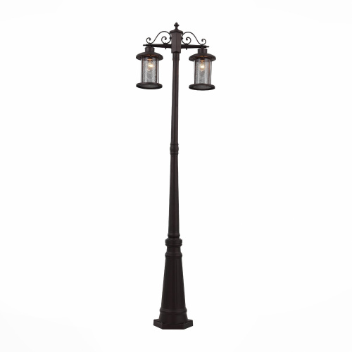 SL080.425.02 Светильник уличный наземный ST-Luce Темный кофе/Прозрачный, Темный кофе E27 2*100W LASTERO фото 7