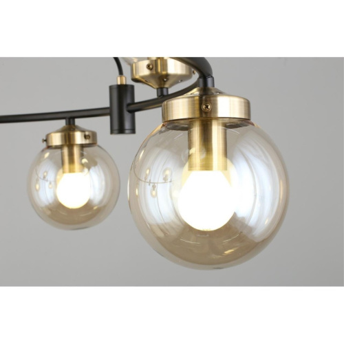 Люстра подвесная OML-94003-10 фото 10 Люстра подвесная OML-94003-10 фото 10