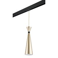 Комплект с трековым светильником Lightstar Dumo (816313+595007) PRO816313