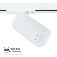 Трековый светильник Arte Lamp FLAME A1519PL-1WH