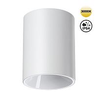359420 OVER NT24 430 белый Светильник накладной влагозащищённый IP54 LED 15W 170-265V 3000К 1350Лм RECTE