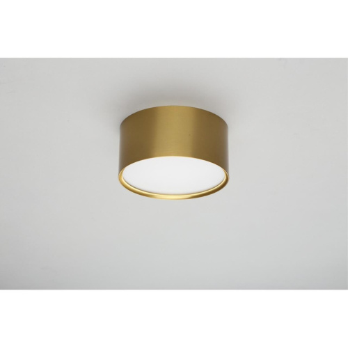 Светильник встраиваемый-накладной OML-100929-12 фото 4 Светильник встраиваемый-накладной OML-100929-12 фото 4