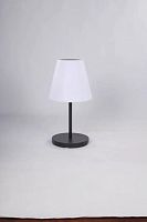 Настольная лампа Alfa Light F3824-08 BK E27*1