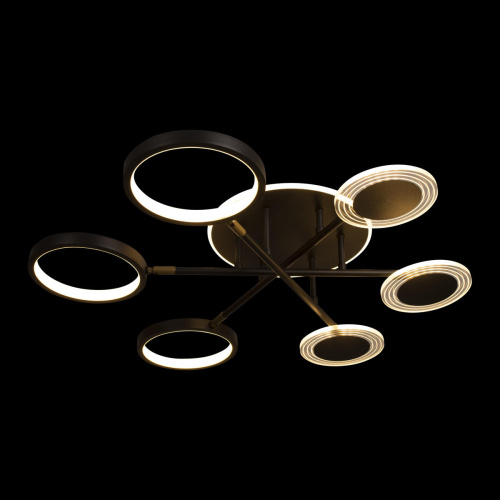 10164S Black Потолочный светильник LOFT IT Megan фото 2