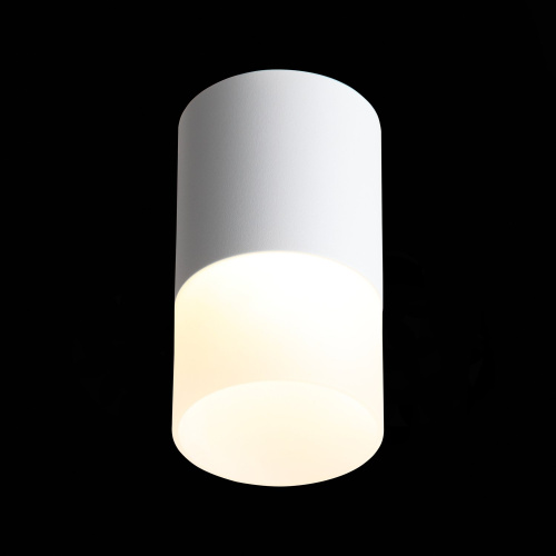 ST100.502.10 Светильник потолочный Белый LED 1*10W 3000K 780Lm Ra>80 120° D78xH135 170-240V Накладные светильники фото 7