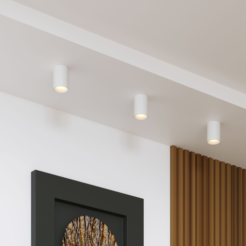 Накладной потолочный светильник 25011/01 фото 2