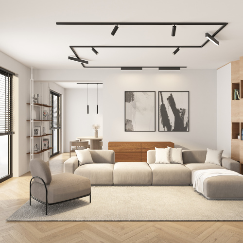 DK6210-BK Трековый светильник IP 20, 15 Вт, GU10, черный, алюминий фото 2