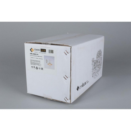 Светильник настенный (Бра) OML-50801-01 фото 4 Светильник настенный (Бра) OML-50801-01 фото 4