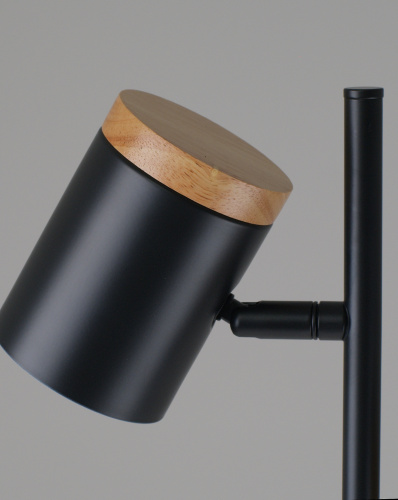 Торшер Moderli V11287-2F Asheswood фото 5 Торшер Moderli V11287-2F Asheswood фото 5