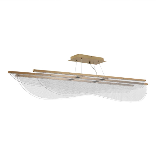 SL6509.223.01 Светильник подвесной ST-Luce Золотистый/Прозрачный LED 1*60W 4000K FESALE фото 5