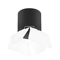 Комплект с потолочным светильником Lightstar Rullo (213487+202486) R3487486