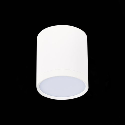 ST113.542.05 Светильник потолочный Белый LED 1*5W 4000K 390Lm Ra>90 120° IP20 D68xH75 170-240V Накладные светильники фото 4