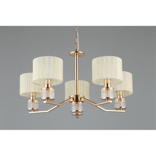 Люстра подвесная OML-66413-05 фото 2