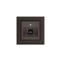 Розетка RJ45 Liregus Retro коричневый омбре 29-035