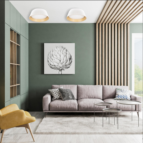 10224 Black Потолочный светильник LOFT IT Evans фото 3 10224 Black Потолочный светильник LOFT IT Evans фото 3