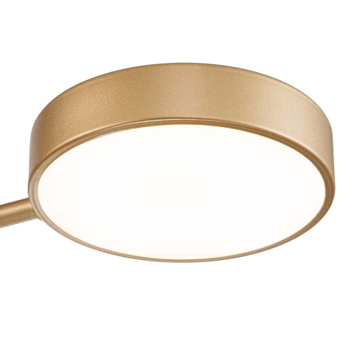 Светильник на штанге Escada 10258/3 LED*26W Champagne gold фото 5