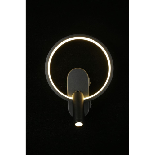 Светильник настенный (Бра) APL.346.01.02 фото 11