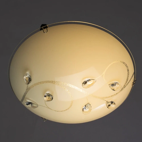Потолочный светильник Arte Lamp JASMINE A4040PL-1CC фото 2