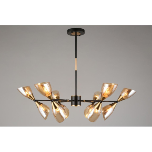 Люстра потолочная OML-66807-12 фото 7