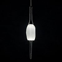 Подвесной светильник Pleiade Black FL1224-1P