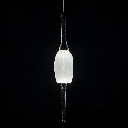Подвесной светильник Pleiade Black FL1224-1P