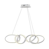 Подвесной светодиодный светильник Arti Lampadari Scarlino L 1.5.65 W