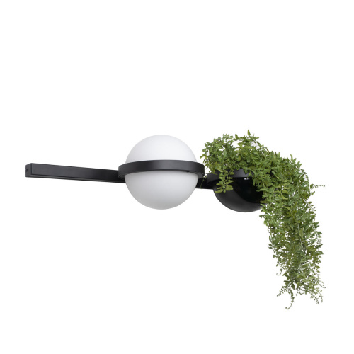 10121W/A Настенный светильник LOFT IT Jardin фото 4 10121W/A Настенный светильник LOFT IT Jardin фото 4