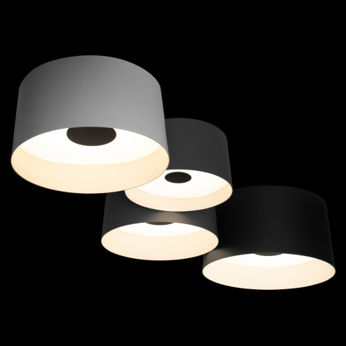 10360/4 Потолочный светильник LOFT IT Duo фото 7