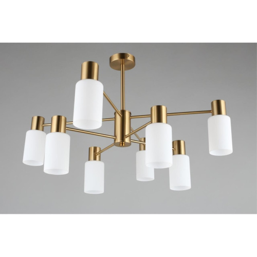 Люстра потолочная OML-69107-08 фото 4 Люстра потолочная OML-69107-08 фото 4