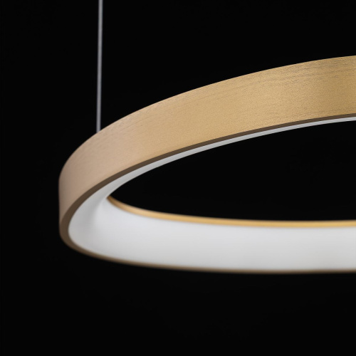 Подвесной светодиодный светильник Citilux Genka Smart CL756A092 фото 8