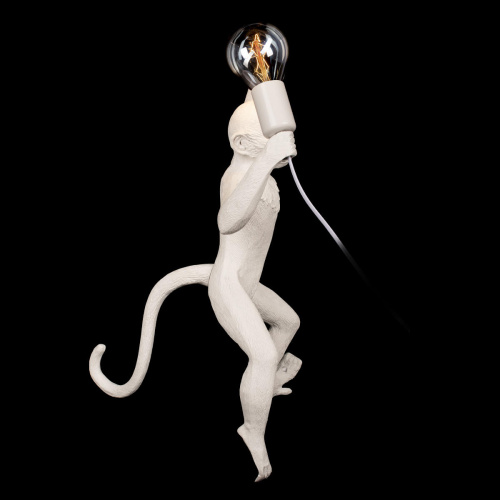 10314W/A Настенный светильник LOFT IT Monkey фото 4