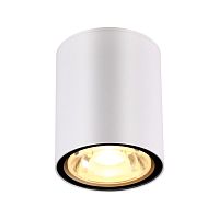358012 STREET NT19 700 белый Ландшафтный светильник IP65 LED 3000К 6W 220V TUMBLER