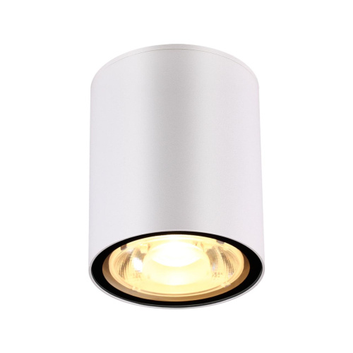 358012 STREET NT19 700 белый Ландшафтный светильник IP65 LED 3000К 6W 220V TUMBLER 358012 STREET NT19 700 белый Ландшафтный светильник IP65 LED 3000К 6W 220V TUMBLER
