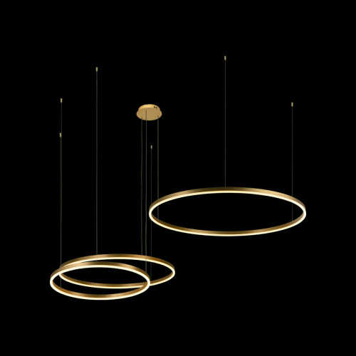 10017/3S Подвесной светильник LOFT IT Ring фото 4