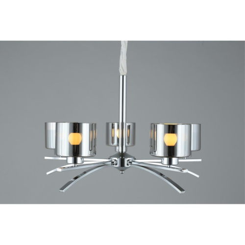 Люстра подвесная OML-55803-05 фото 7