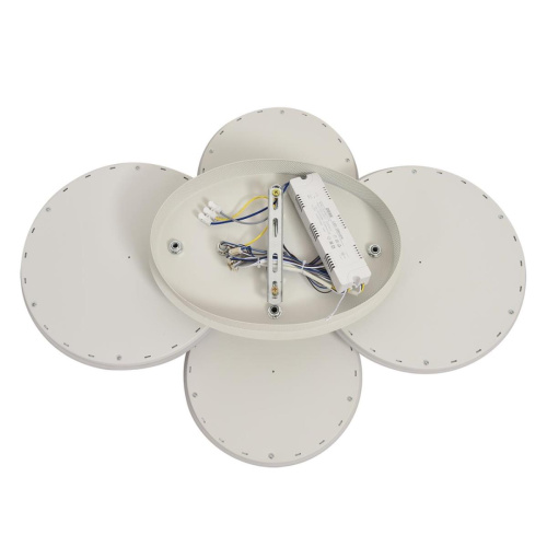 Умная люстра Lumion ALIS SMART 8380/95CL фото 4